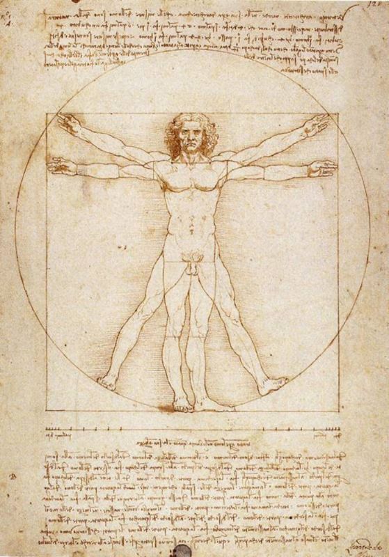 Immunologie théorique
