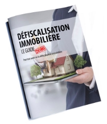 Investissements locatifs et dispositifs de défiscalisation immobilière