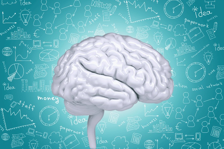 Développer sa mémoire grâce aux neurosciences