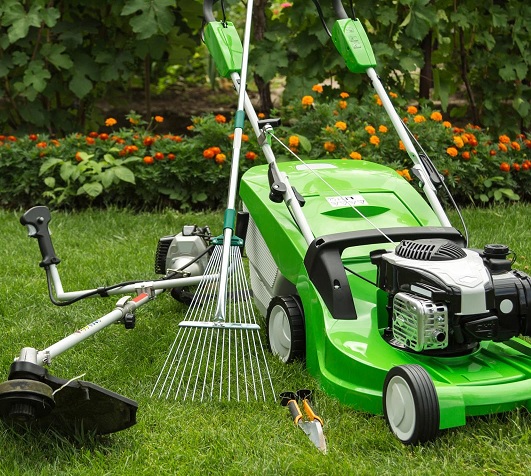 Fondamentaux sur l'entretien des espaces verts