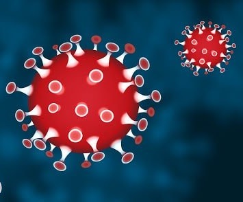 SARS - CoV-2 et COVID-19 : Virus, pathologie, dépistage et traitements