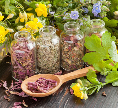 Initiation à la phytothérapie