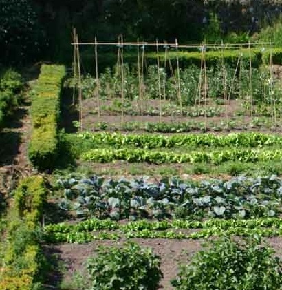 Création d’un jardin potager : un endroit où il fait bon vivre