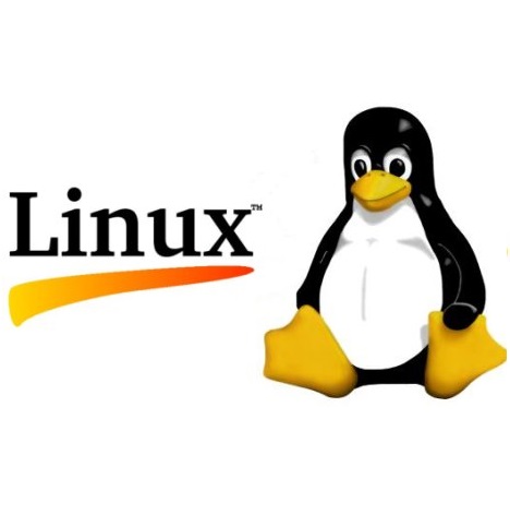 Paramétrage et prise en main d'un système linux