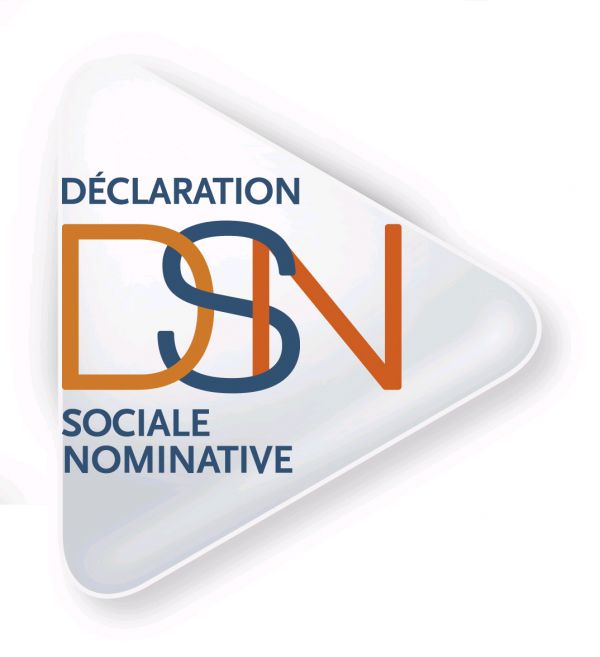 Élaborer la Déclaration sociale nominative (DSN)