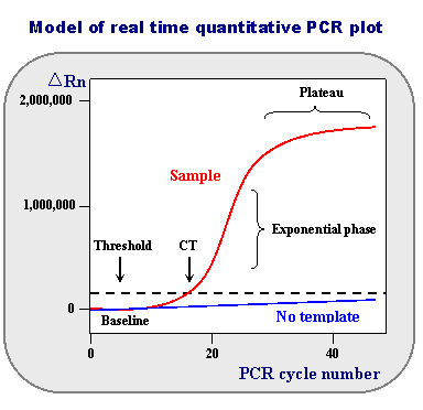 La PCR quantitative