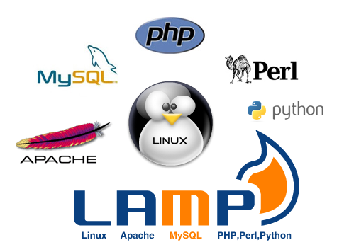 Formation LAMP (Linux, Apache, MySQL, PHP)