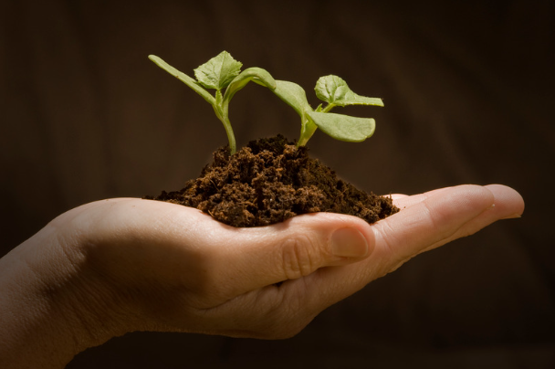 Lancer sa START-UP BIOTECH