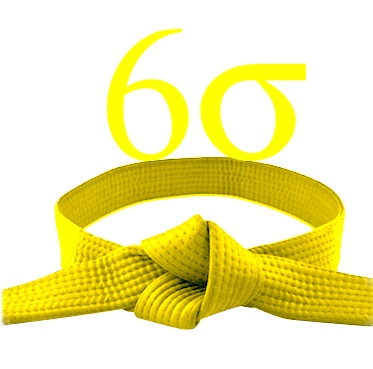 Lean Six Sigma Yellow Belt