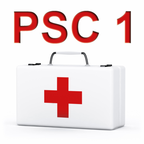 Prévention et secours civiques niveau 1 (PSC1)
