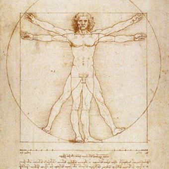 Immunologie théorique