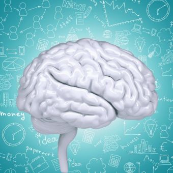 Développer sa mémoire grâce aux neurosciences