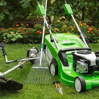 Fondamentaux sur l'entretien des espaces verts