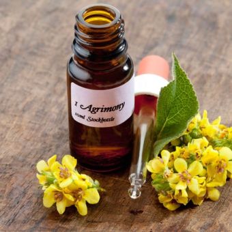 Conseiller les fleurs de Bach sur un point de vente