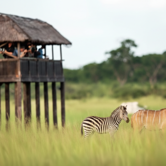 Fondamentaux de l’écotourisme et réglementation