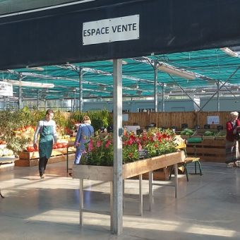 Comment structurer un espace de vente