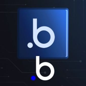 Développeur Bubble.io : concevoir une application SaaS complète