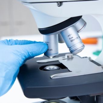 Culture cellulaire et bioproduction