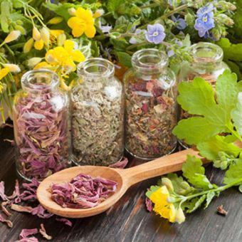 Initiation à la phytothérapie