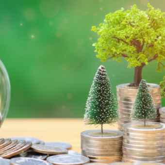 RMP et déclaration environnementale : intégrer les obligations du décret n° 2022-767