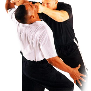 Initiation aux techniques de Self Défense