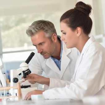 Word pour les professionnels de santé et de la recherche