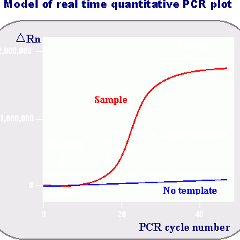 La PCR quantitative