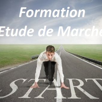 Études de marché : les fondamentaux