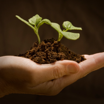 Lancer sa START-UP BIOTECH