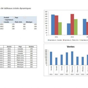 Essentiel sur les tableaux croisés dynamiques
