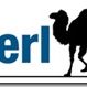 langage perl niveau 1