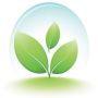 processus d’achat durable
