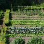 création d’un jardin potager : un endroit où il fait bon vivre