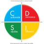 manager en couleur avec l'outil disc