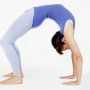 gestes et postures - prévention des risques