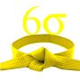 lean six sigma yellow belt