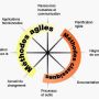 introduction à l'agilité  :  comprendre la démarche et les méthodes agile