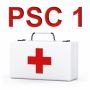 prévention et secours civiques niveau 1 (psc1)