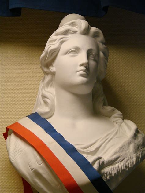 Droit public et des collectivités territoriales - Culture du service public
